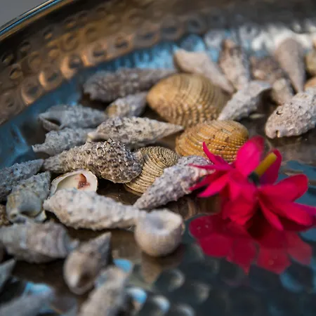 Fiorella Lejlighed *