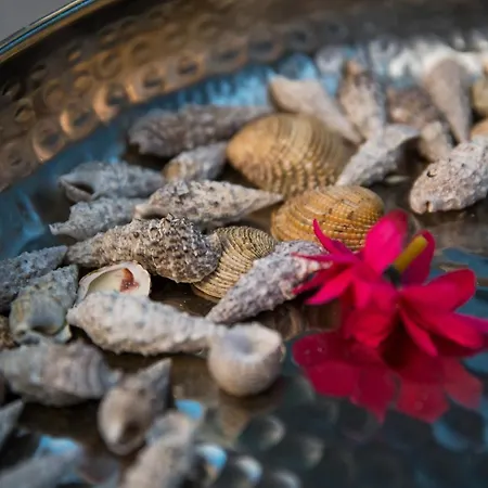 Fiorella Apartmán *